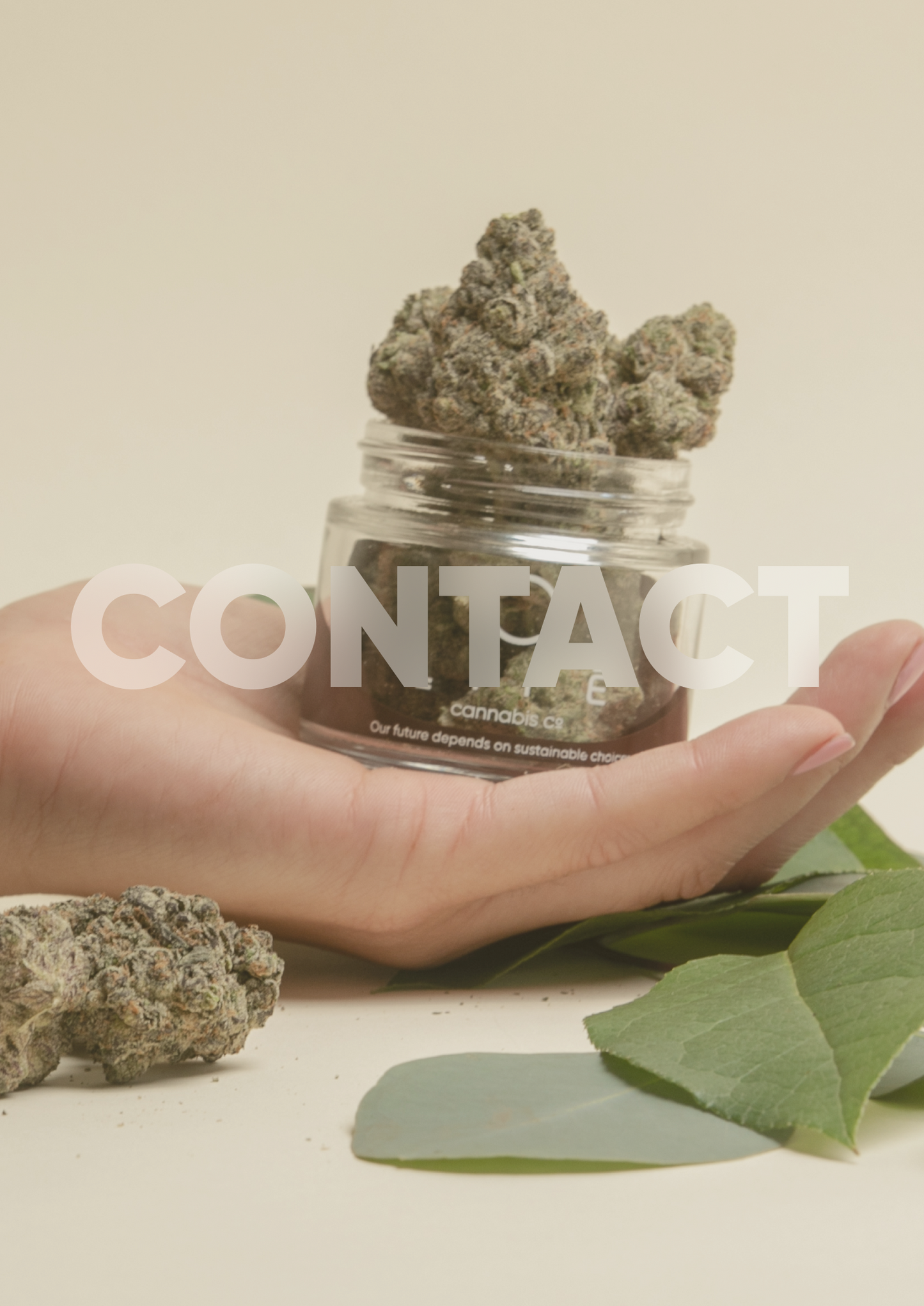 Life Cannabis Co.